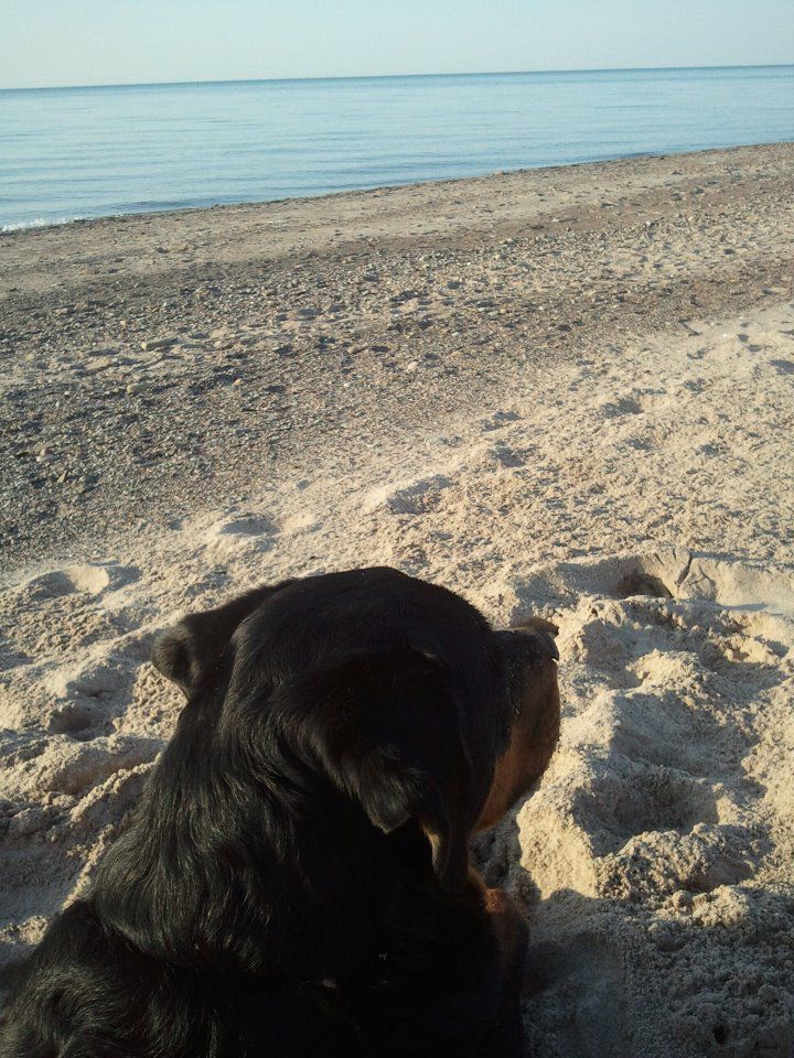 beaches
